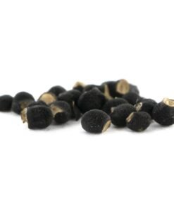 Peyote (Lophophora williamsii) 20 seeds
