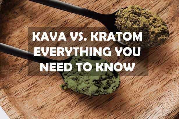 Kava vs Kratom 2024