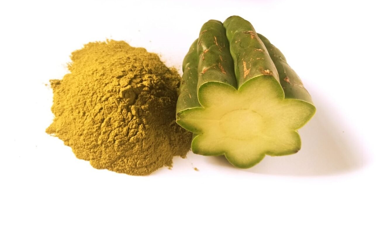 san pedro cactus preparation