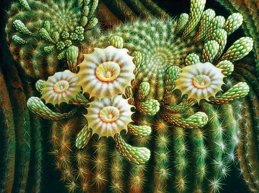 Saguaro Cactus Art & Paintings